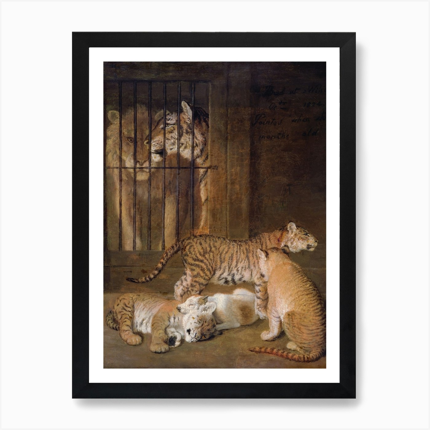 Lion And Tigress Art Print Framed Wall Art Poster Canvas Print Picture