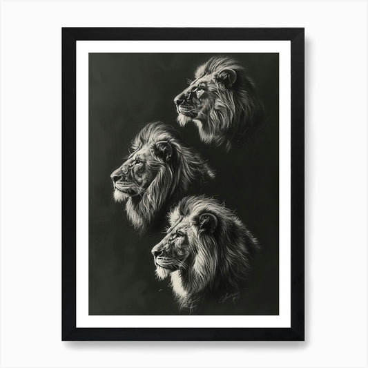 Barbary Lion Charcoal Drawing 4 Art Framed Wall Art Poster Canvas Print Picture
