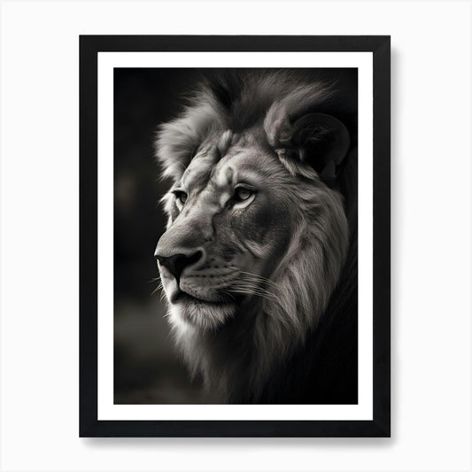 Portrait Of A Lion 1 Art Print Framed Wall Art Poster Canvas Print Picture