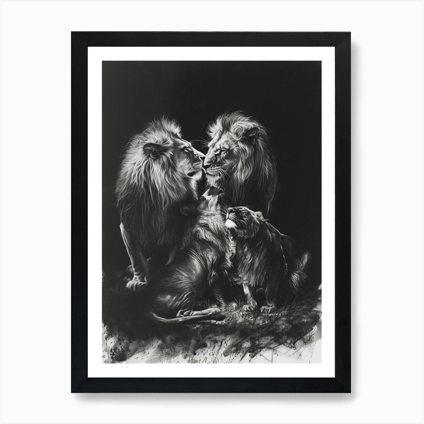 Barbary Lion Charcoal Drawing Inter Framed Wall Art Poster Canvas Print Picture
