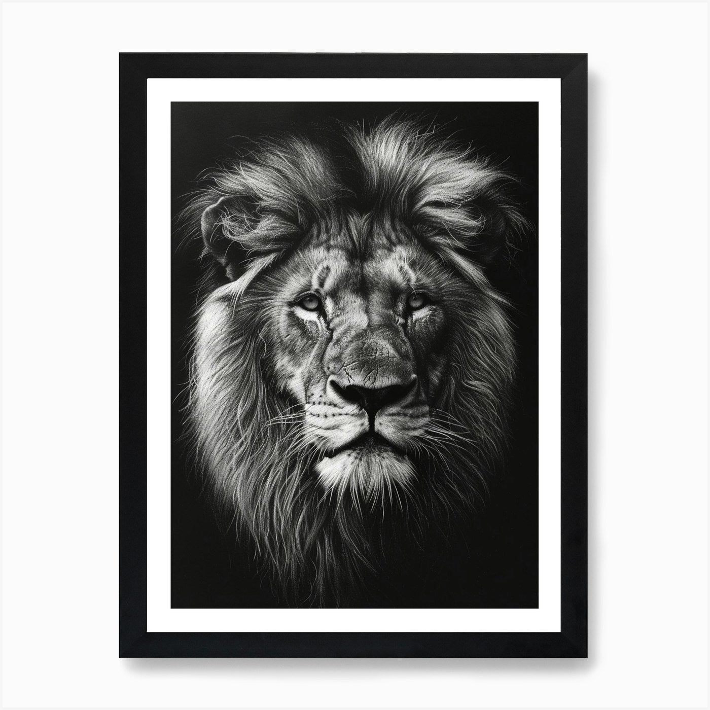 Barbary Lion Charcoal Drawing Portr Framed Wall Art Poster Canvas Print Picture