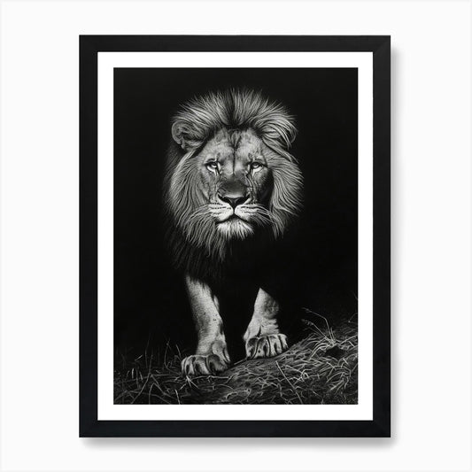 Barbary Lion Charcoal Drawing Night Framed Wall Art Poster Canvas Print Picture