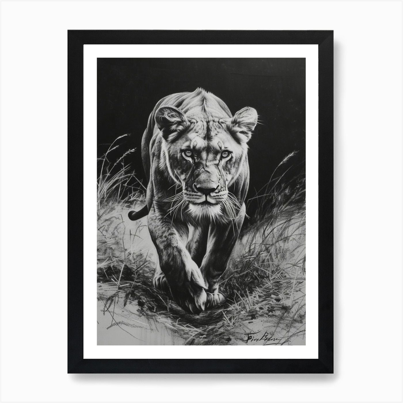 Barbary Lion Charcoal Drawing Lione Framed Wall Art Poster Canvas Print Picture