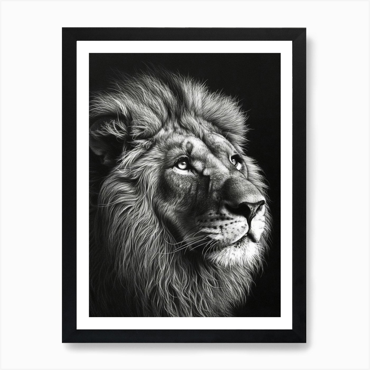 Barbary Lion Charcoal Drawing Portr Framed Wall Art Poster Canvas Print Picture
