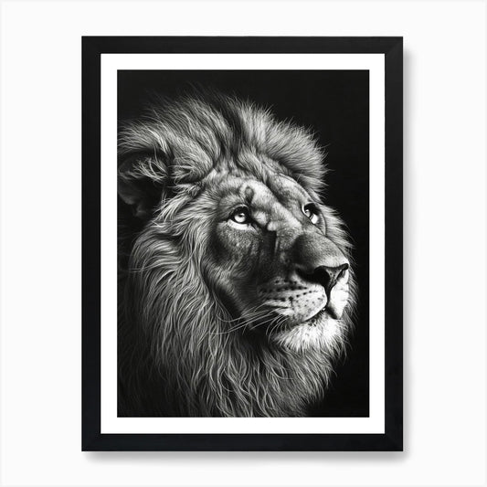 Barbary Lion Charcoal Drawing Portr Framed Wall Art Poster Canvas Print Picture