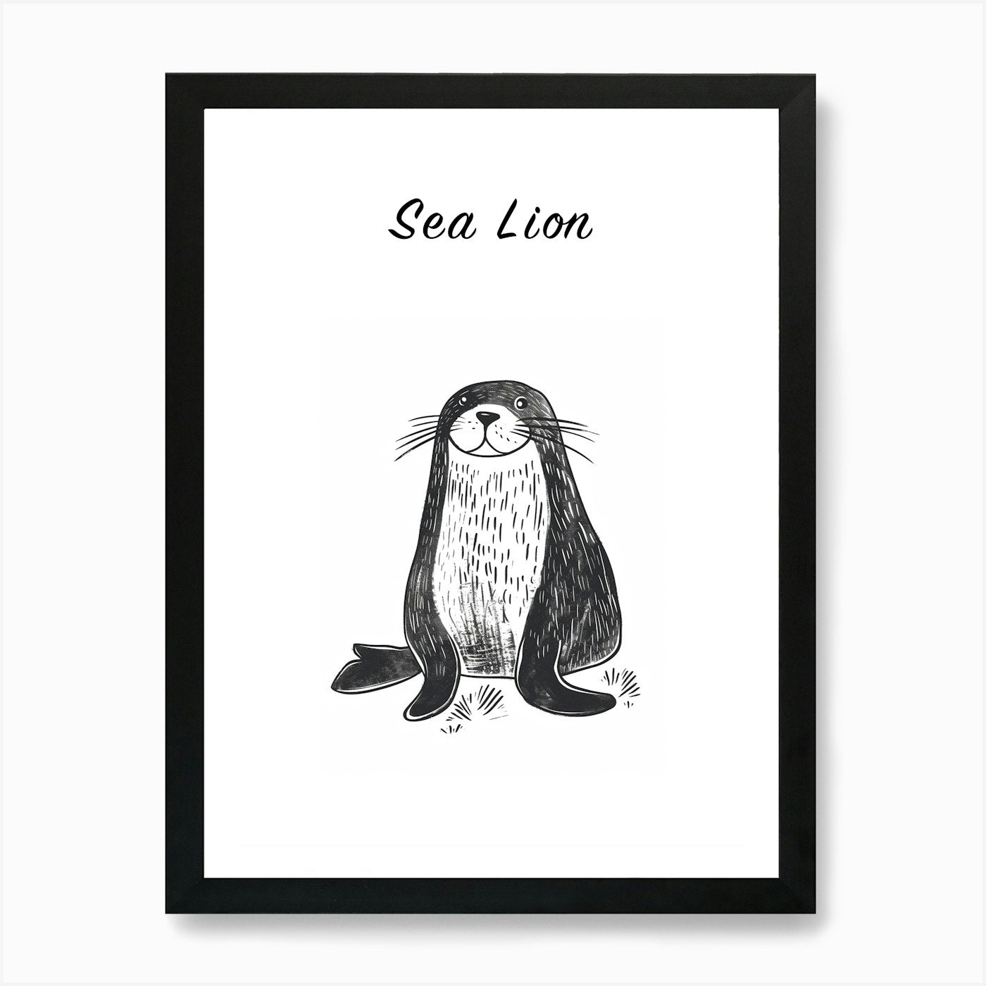 B&W Sea Lion Poster Art Print Framed Wall Art Poster Canvas Print Picture