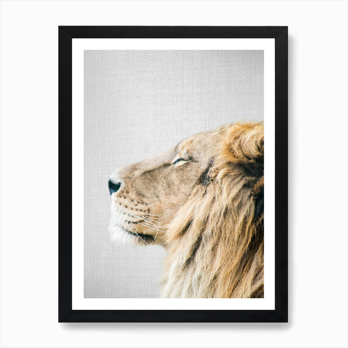 Lion Portrait Art Print Framed Wall Art Poster Canvas Print Picture