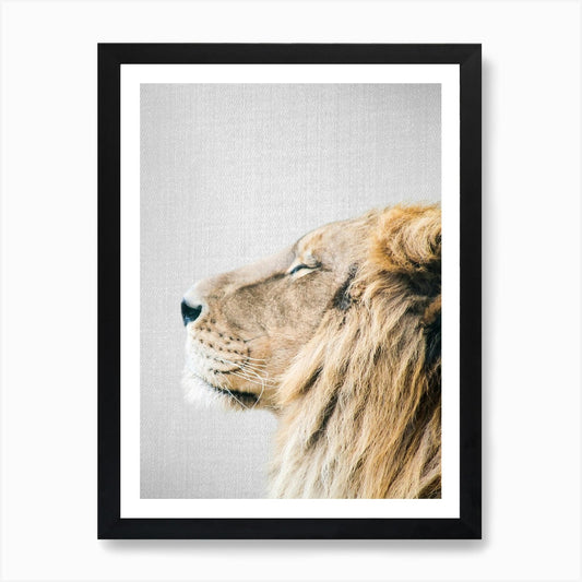 Lion Portrait Art Print Framed Wall Art Poster Canvas Print Picture