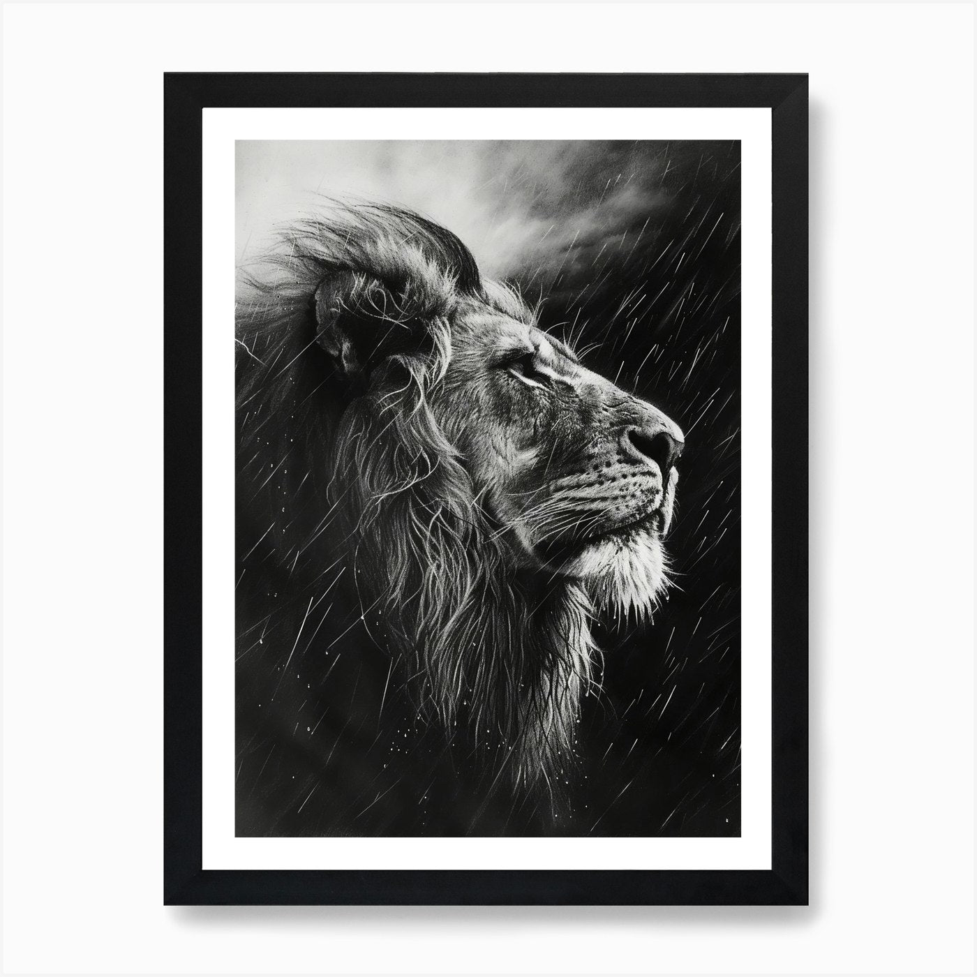 Barbary Lion Charcoal Drawing Facin Framed Wall Art Poster Canvas Print Picture