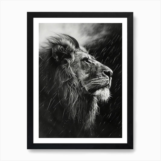 Barbary Lion Charcoal Drawing Facin Framed Wall Art Poster Canvas Print Picture
