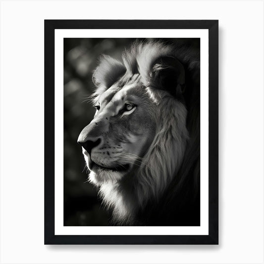 Portrait Of A Lion Art Print Framed Wall Art Poster Canvas Print Picture