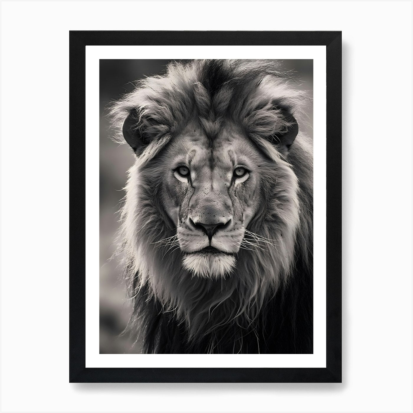 Portrait Of A Lion, Black And White Framed Wall Art Poster Canvas Print Picture