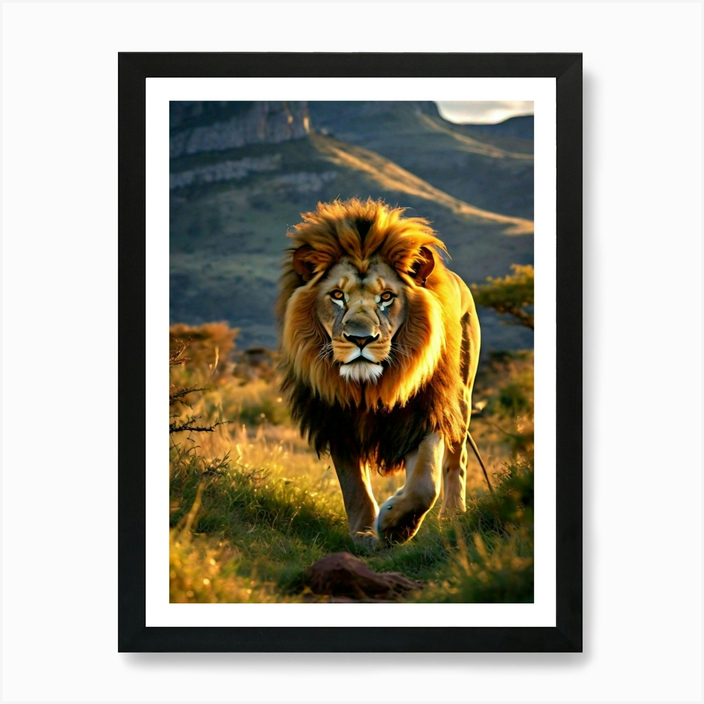 Lion In The Grass Art Print Framed Wall Art Poster Canvas Print Picture