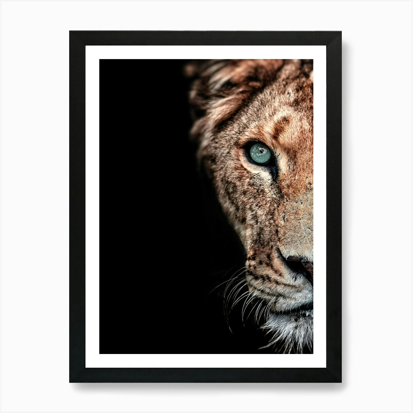 Lion With Blue Eyes Art Print Framed Wall Art Poster Canvas Print Picture