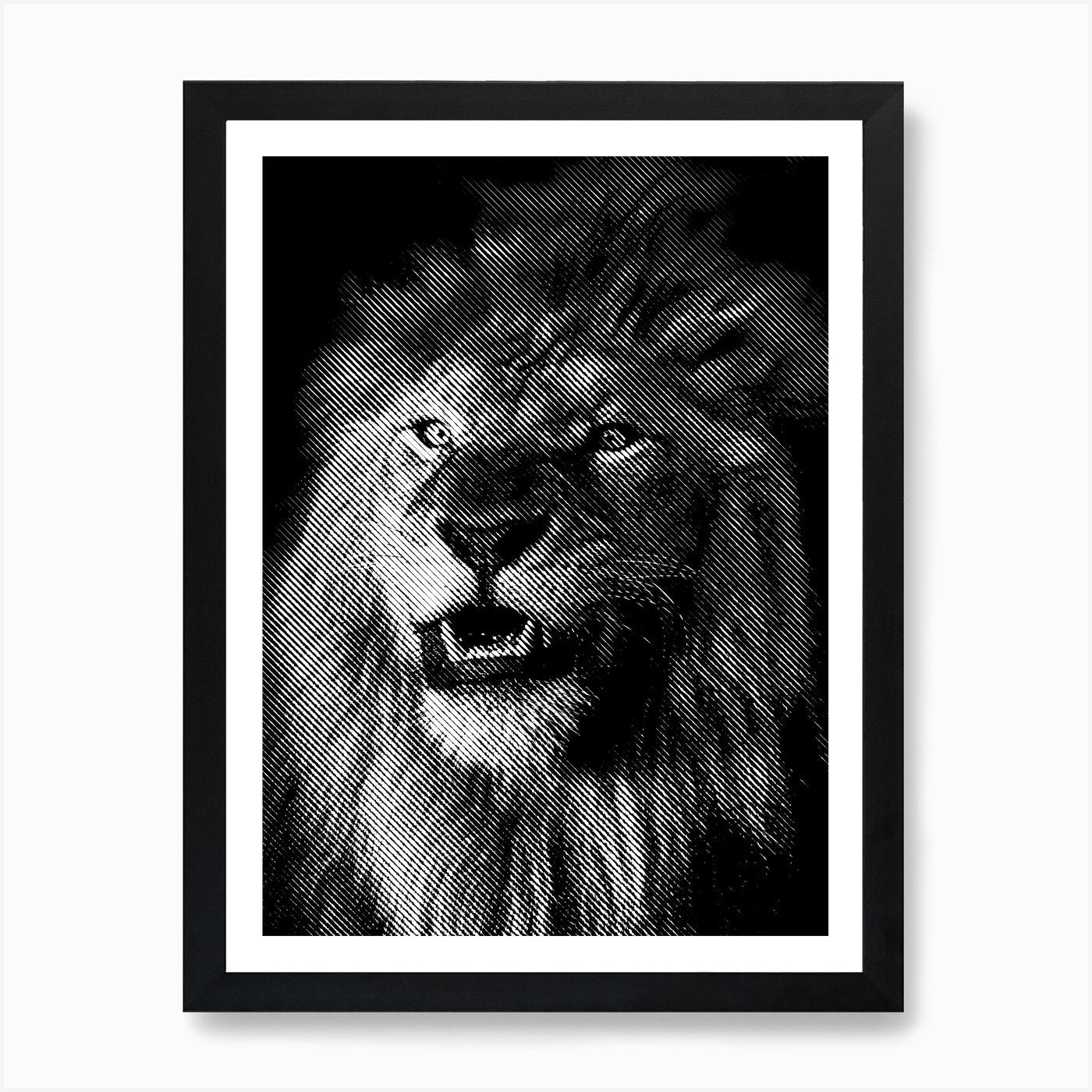 BW Close Up Lion in my Line Illustr Framed Wall Art Poster Canvas Print Picture