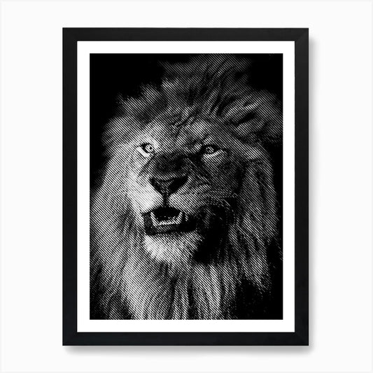 BW Close Up Lion in my Line Illustr Framed Wall Art Poster Canvas Print Picture