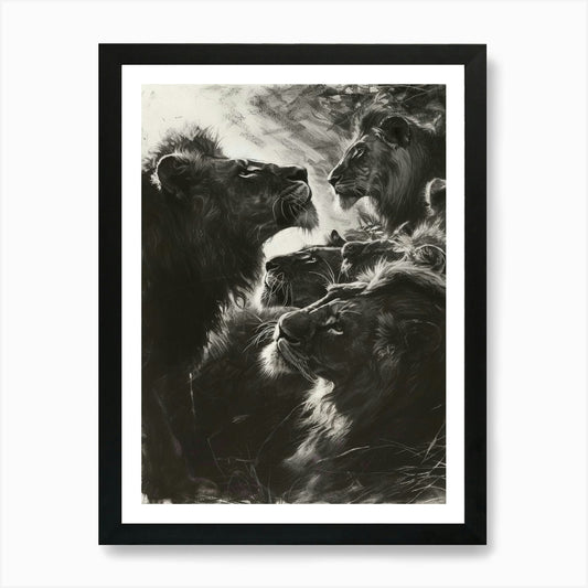 Barbary Lion Charcoal Drawing Inter Framed Wall Art Poster Canvas Print Picture