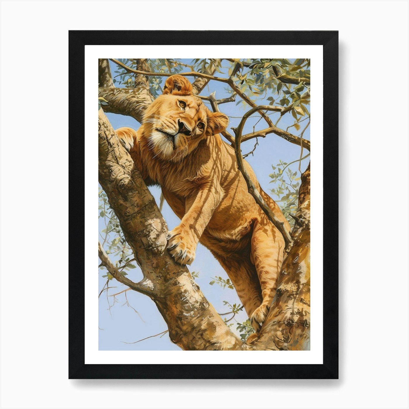 Barbary Lion Climbing A Tree Acryli Framed Wall Art Poster Canvas Print Picture