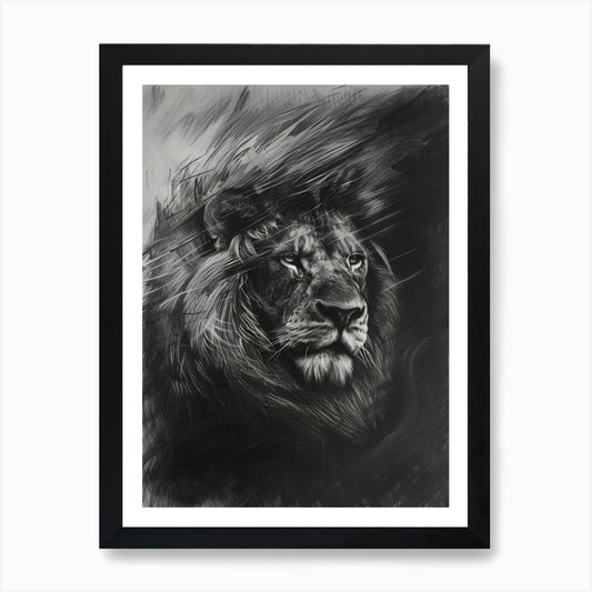 Barbary Lion Charcoal Drawing Facin Framed Wall Art Poster Canvas Print Picture