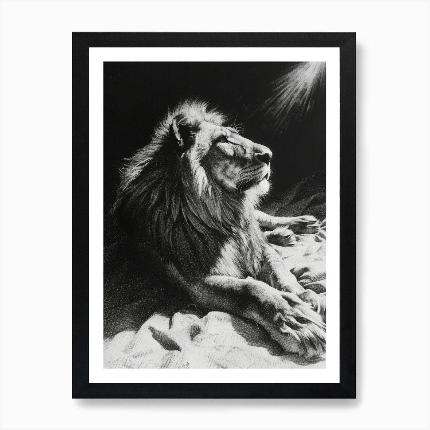 African Lion Charcoal Drawing Resti Framed Wall Art Poster Canvas Print Picture