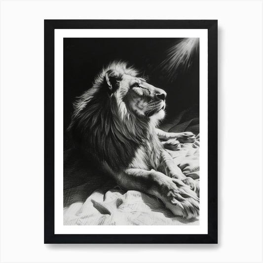 African Lion Charcoal Drawing Resti Framed Wall Art Poster Canvas Print Picture