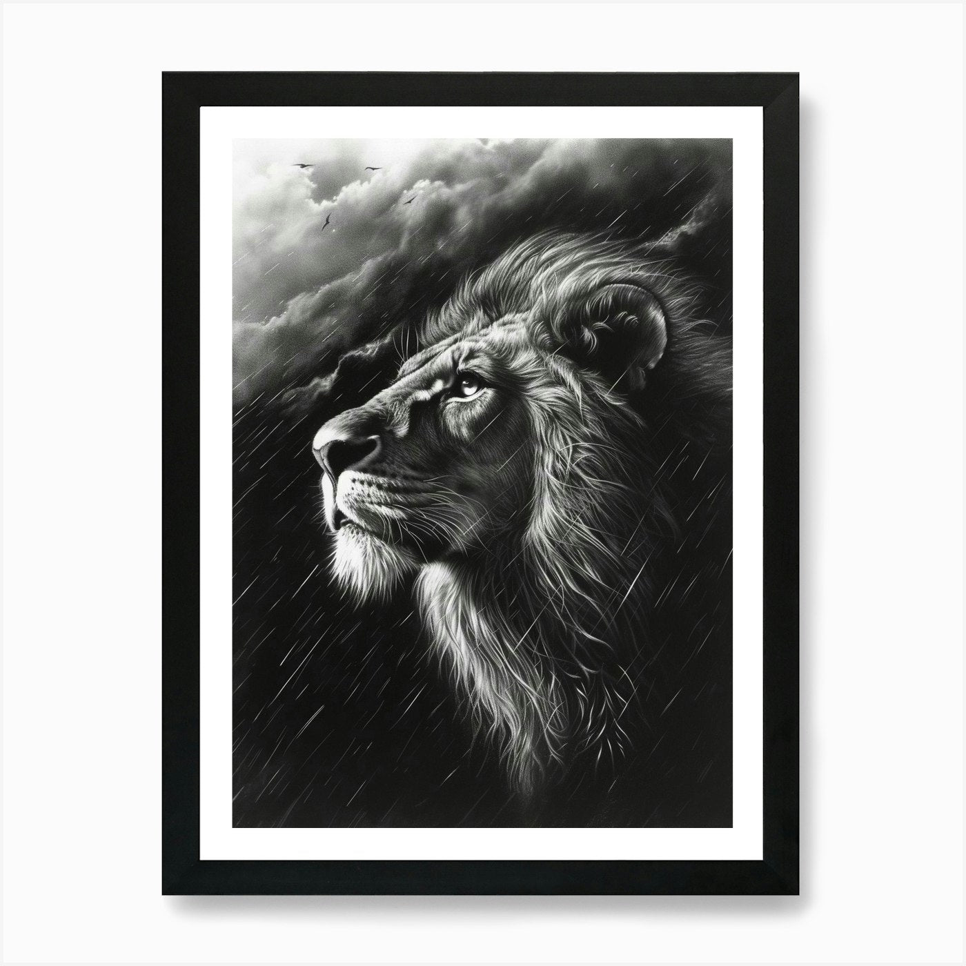 African Lion Charcoal Drawing Facin Framed Wall Art Poster Canvas Print Picture