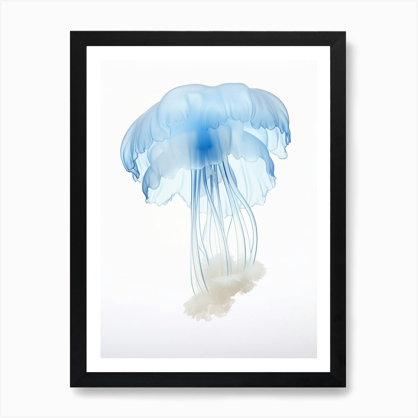 Lions Mane Jellyfish Watercolour 5  Framed Wall Art Poster Canvas Print Picture