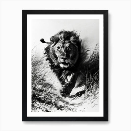 Barbary Lion Charcoal Drawing Hunti Framed Wall Art Poster Canvas Print Picture