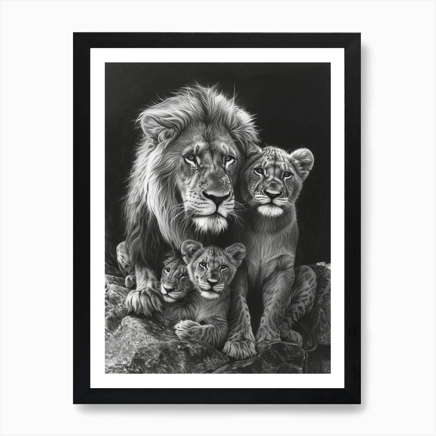 African Lion Charcoal Drawing Famil Framed Wall Art Poster Canvas Print Picture