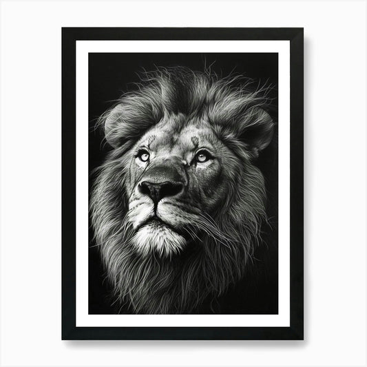 Barbary Lion Charcoal Drawing Portr Framed Wall Art Poster Canvas Print Picture