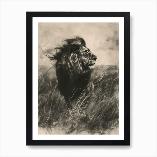 African Lion Charcoal Drawing Hunti Framed Wall Art Poster Canvas Print Picture