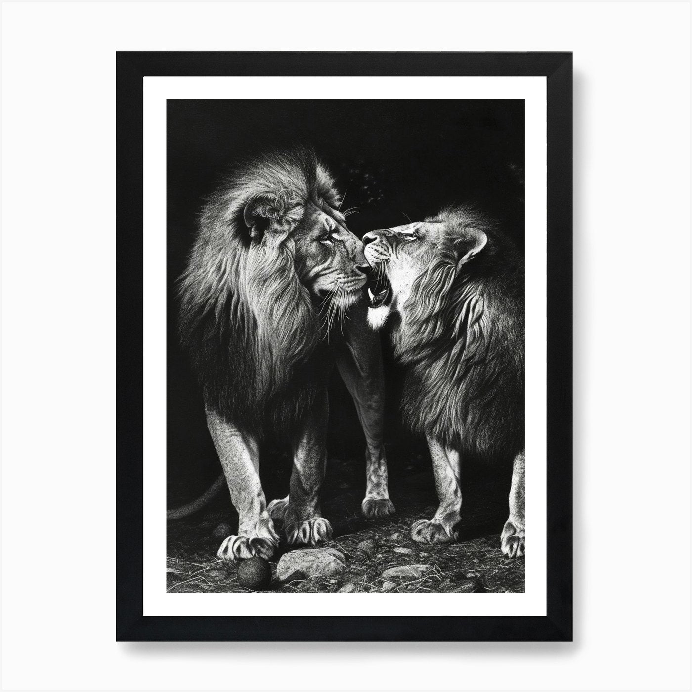 Barbary Lion Charcoal Drawing Ritua Framed Wall Art Poster Canvas Print Picture
