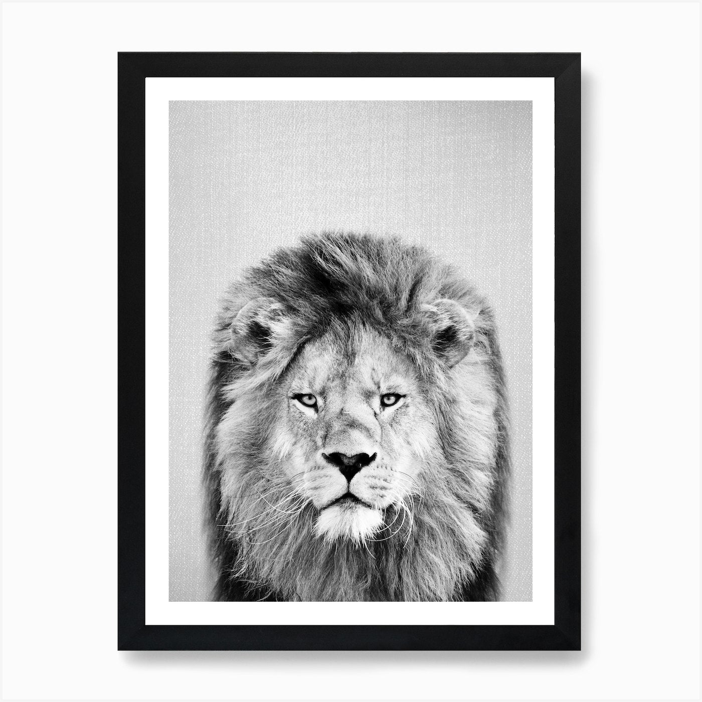 Lion - Black & White Art Print Framed Wall Art Poster Canvas Print Picture