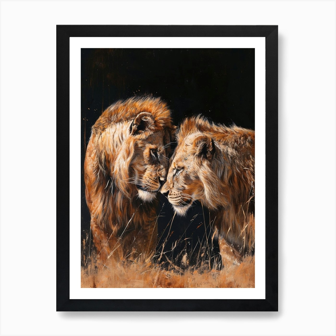 African Lion Mating Rituals Acrylic Framed Wall Art Poster Canvas Print Picture