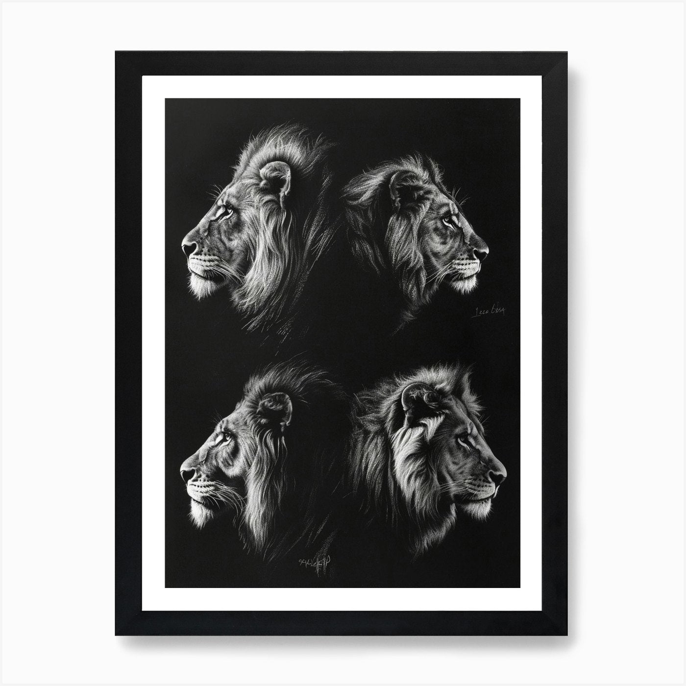 Barbary Lion Charcoal Drawing 1 Art Framed Wall Art Poster Canvas Print Picture