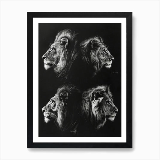 Barbary Lion Charcoal Drawing 1 Art Framed Wall Art Poster Canvas Print Picture