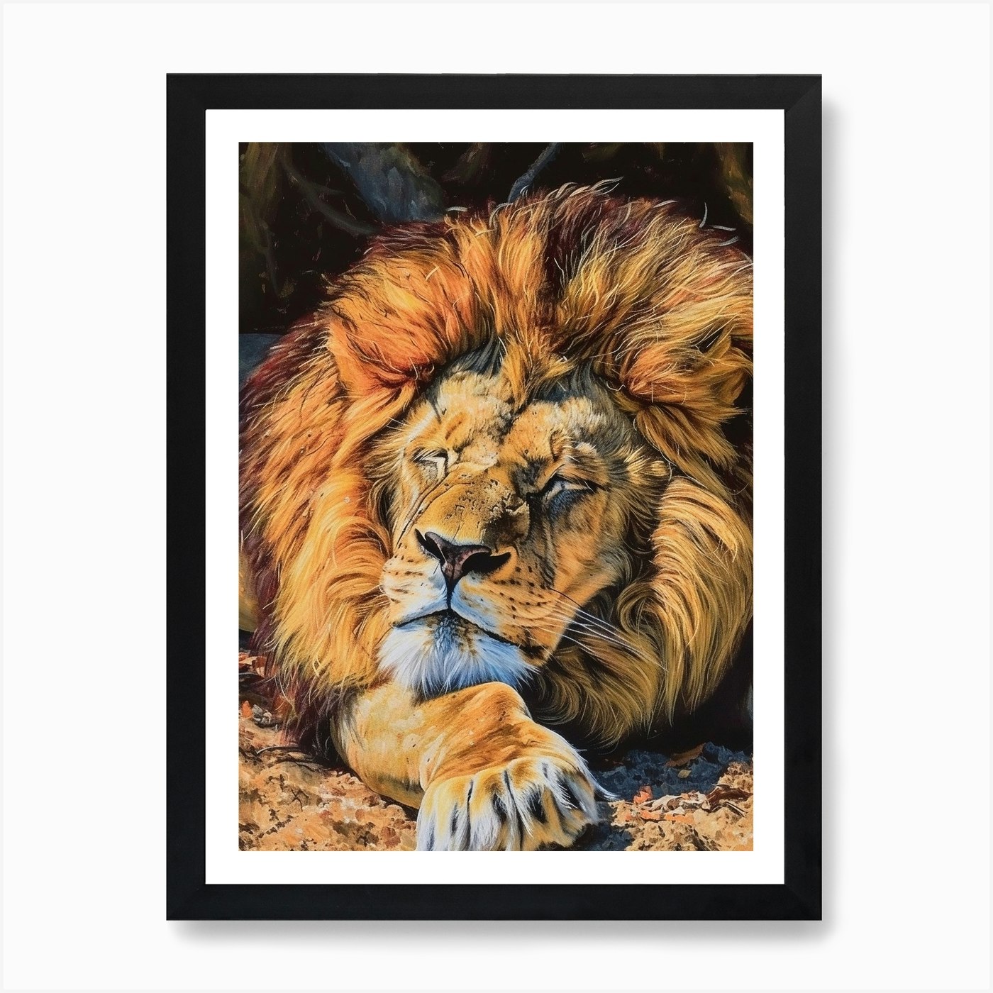 Barbary Lion Resting Acrylic Painti Framed Wall Art Poster Canvas Print Picture