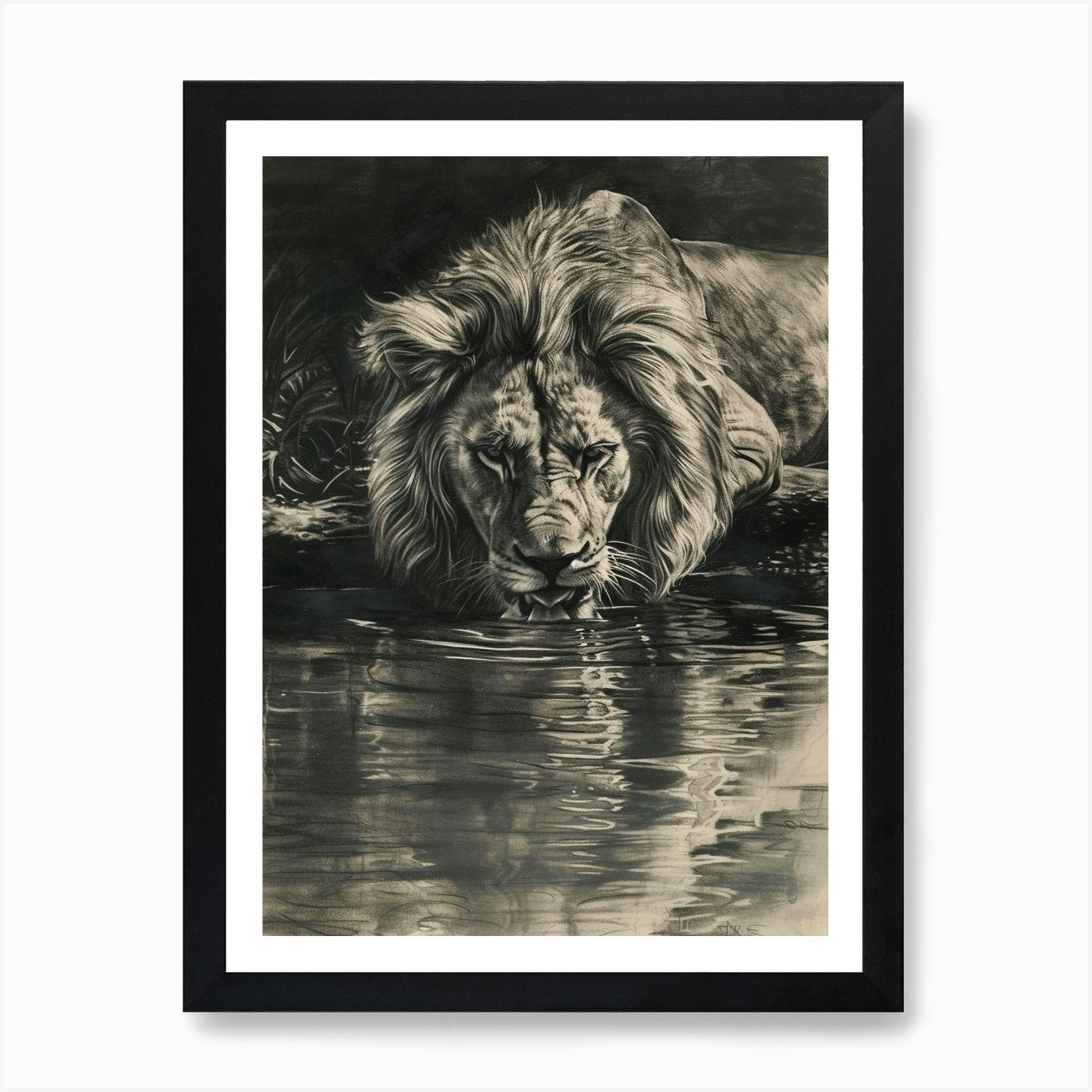African Lion Charcoal Drawing Drink Framed Wall Art Poster Canvas Print Picture