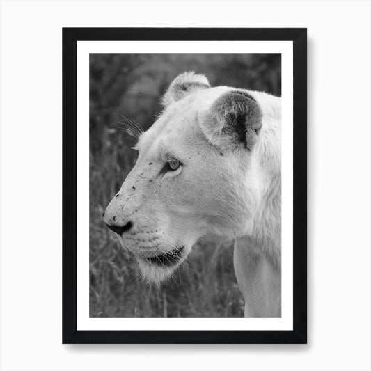 White Lion Female Art Print Framed Wall Art Poster Canvas Print Picture