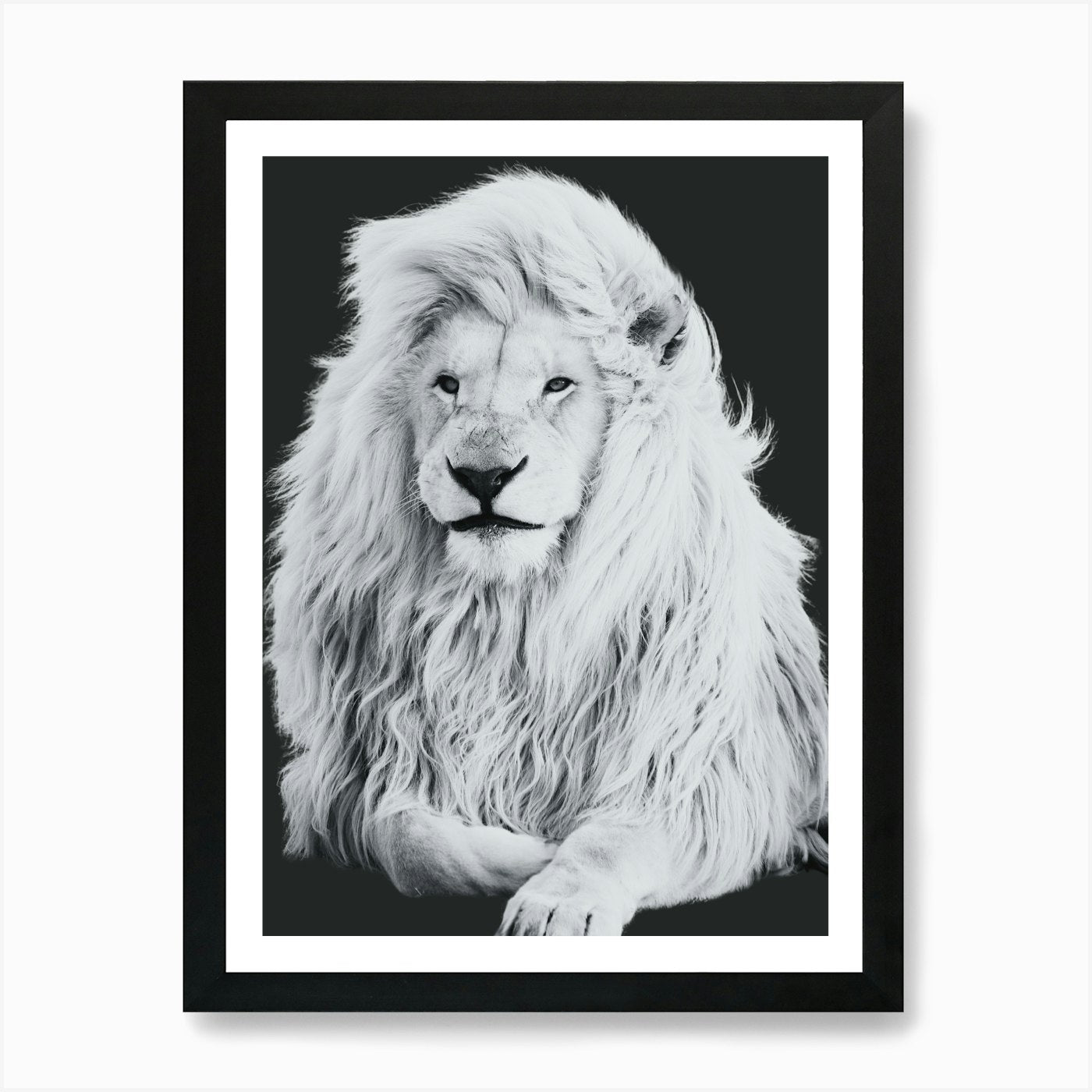 White Lion Art Print Framed Wall Art Poster Canvas Print Picture