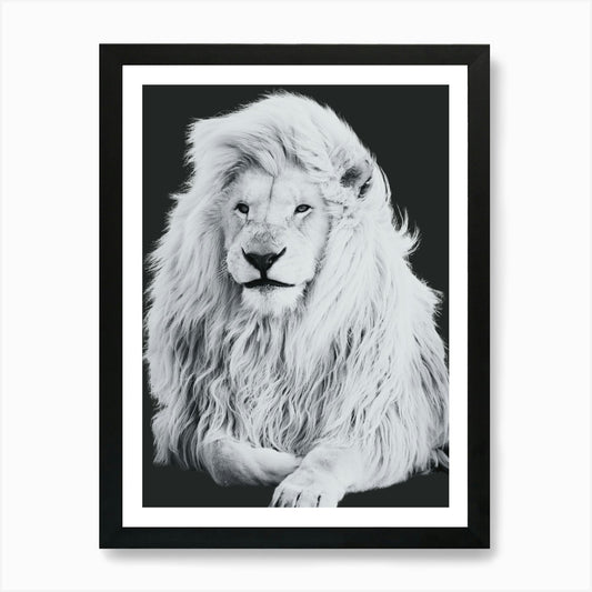 White Lion Art Print Framed Wall Art Poster Canvas Print Picture