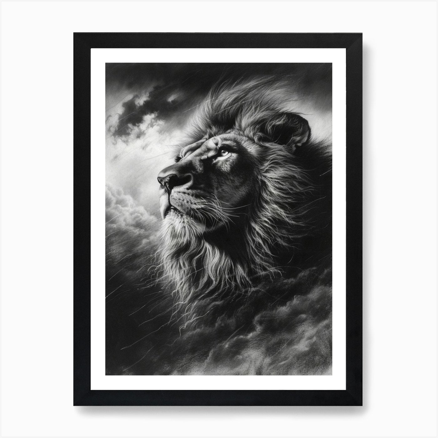 Barbary Lion Charcoal Drawing Facin Framed Wall Art Poster Canvas Print Picture