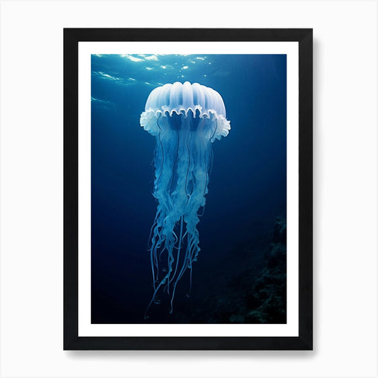 Lions Mane Jellyfish Ocean Realisti Framed Wall Art Poster Canvas Print Picture