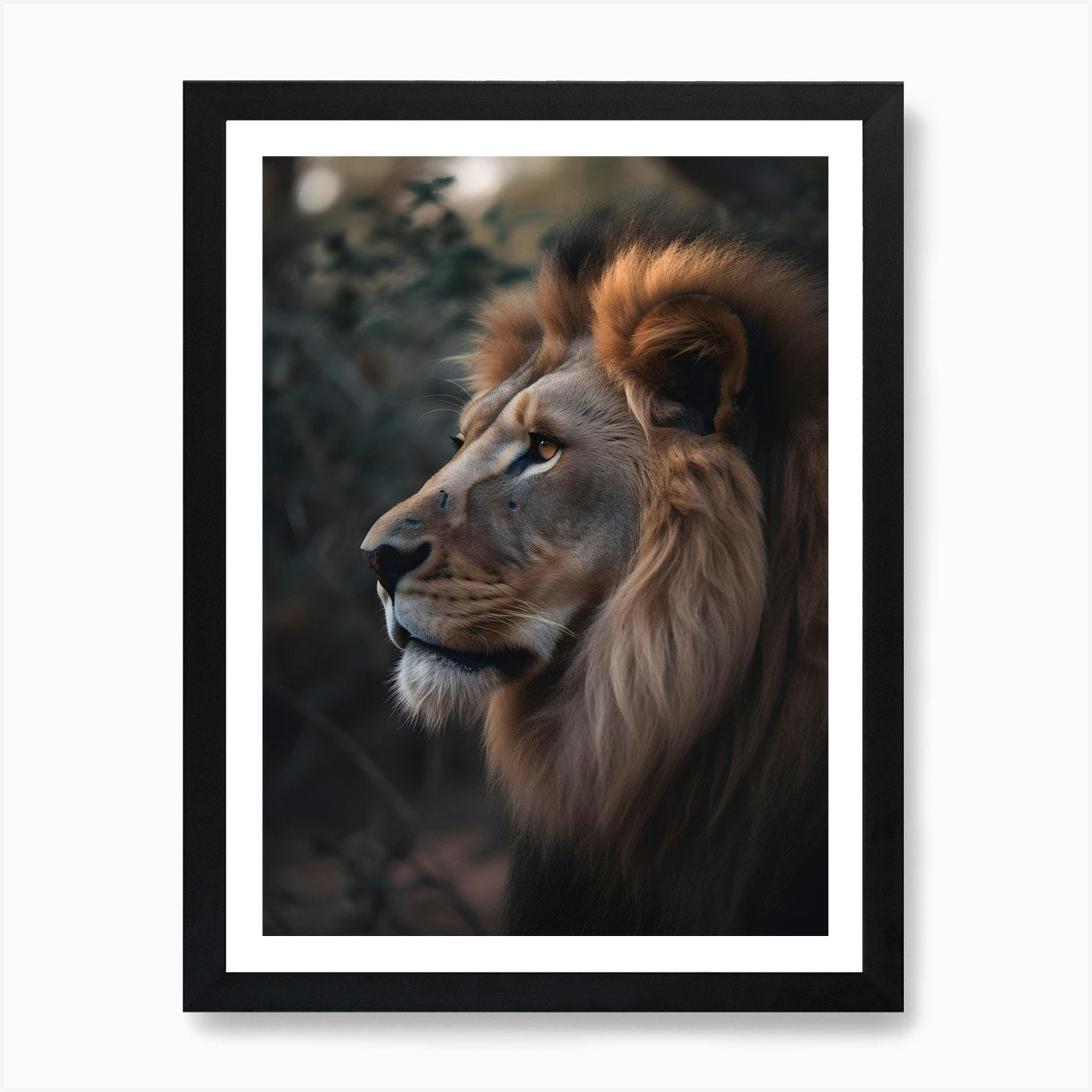 Lion Portrait 1 Art Print Framed Wall Art Poster Canvas Print Picture