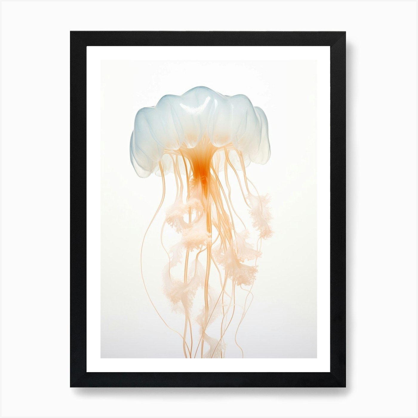 Lions Mane Jellyfish Watercolour 8  Framed Wall Art Poster Canvas Print Picture