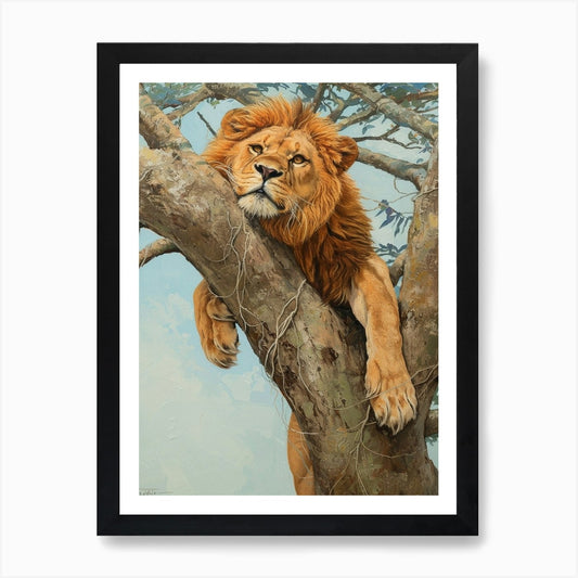 African Lion Climbing A Tree Acryli Framed Wall Art Poster Canvas Print Picture