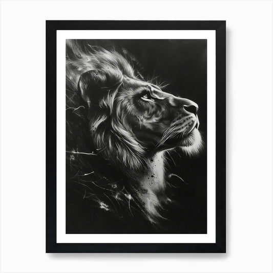 African Lion Charcoal Drawing Night Framed Wall Art Poster Canvas Print Picture
