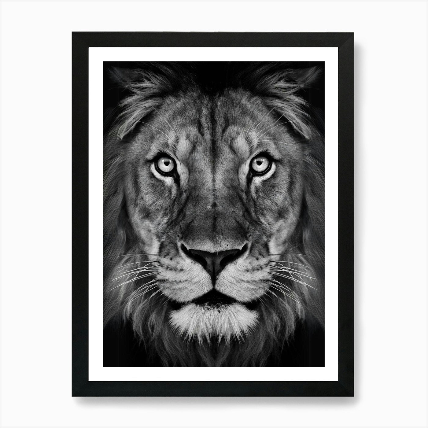 Lion Face Art Print Framed Wall Art Poster Canvas Print Picture