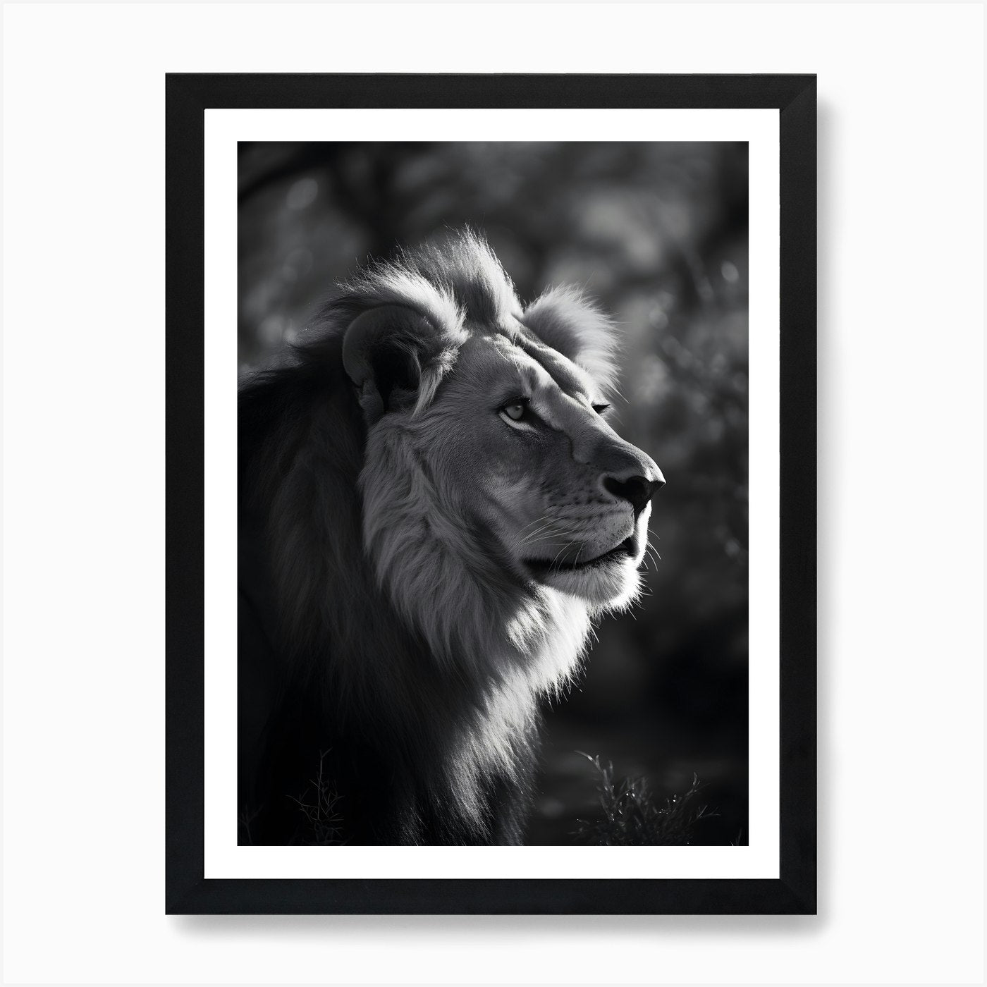 Lion in the Nature Art Print Framed Wall Art Poster Canvas Print Picture