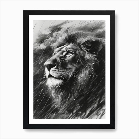 African Lion Charcoal Drawing Facin Framed Wall Art Poster Canvas Print Picture
